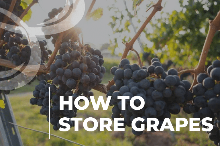 How To Store Grapes