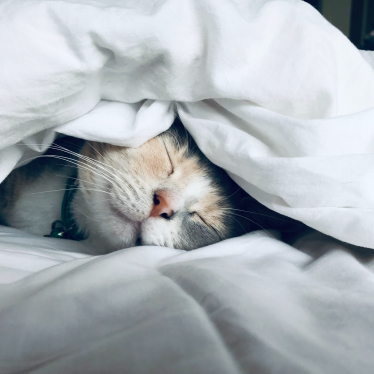 How to Wash a Comforter