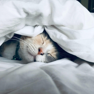How to Wash a Comforter