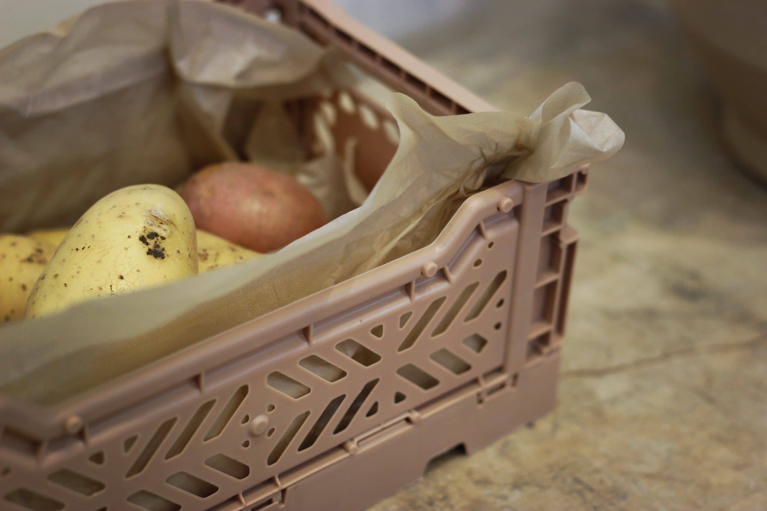 Potato Shelf Life