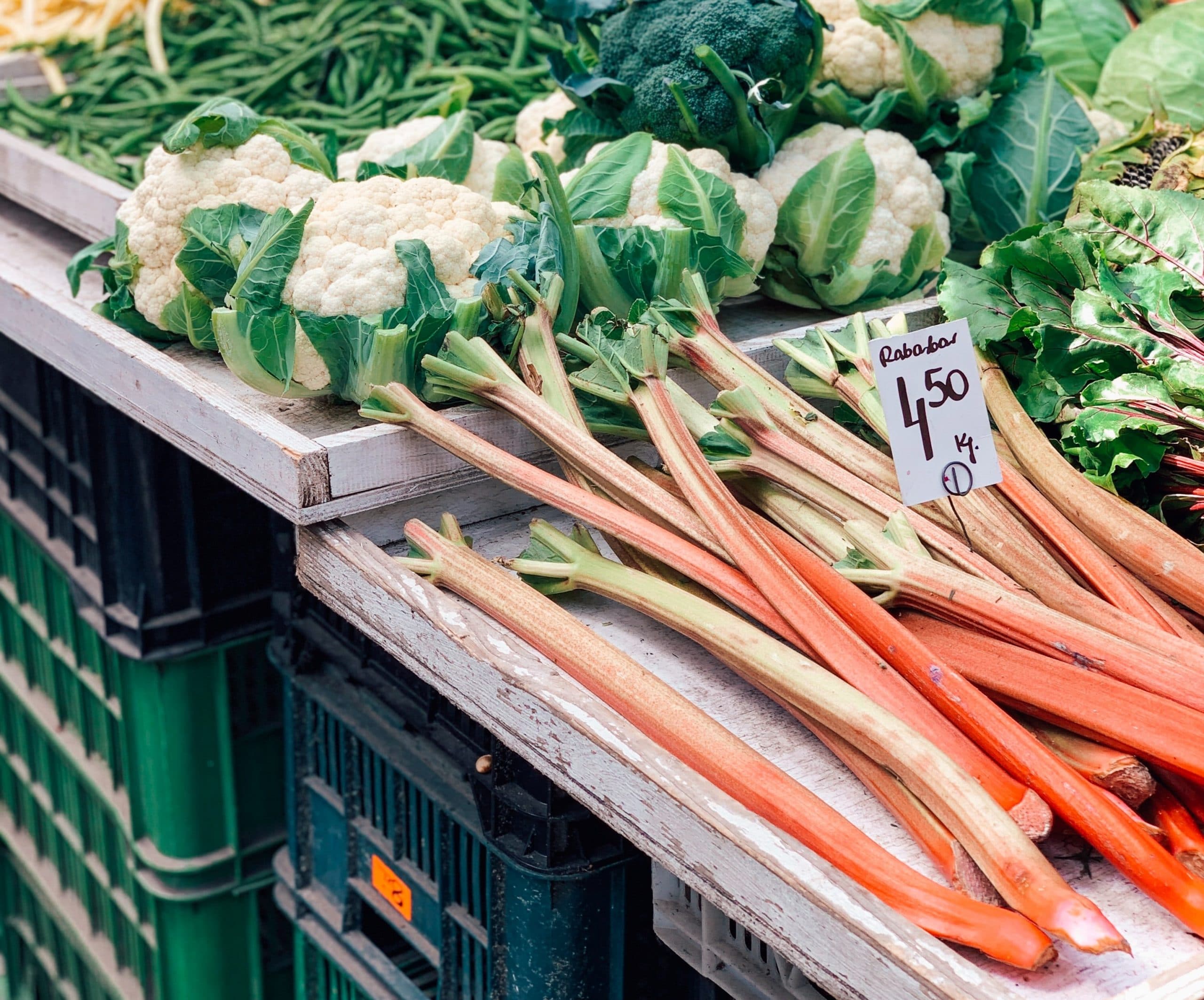 rhubarb freezing