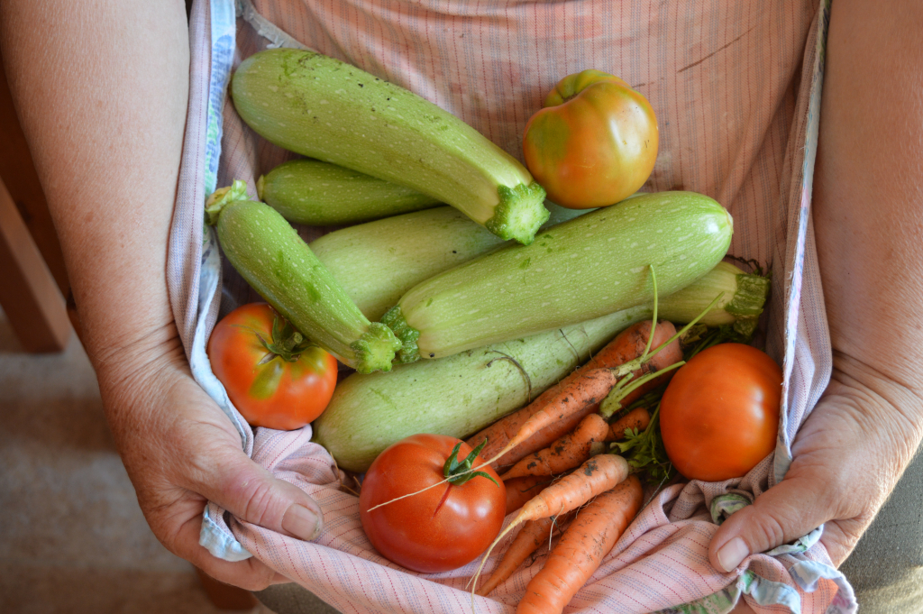 Storing Zucchini