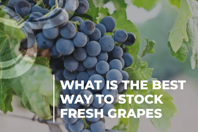 What is the best way to stock fresh grapes