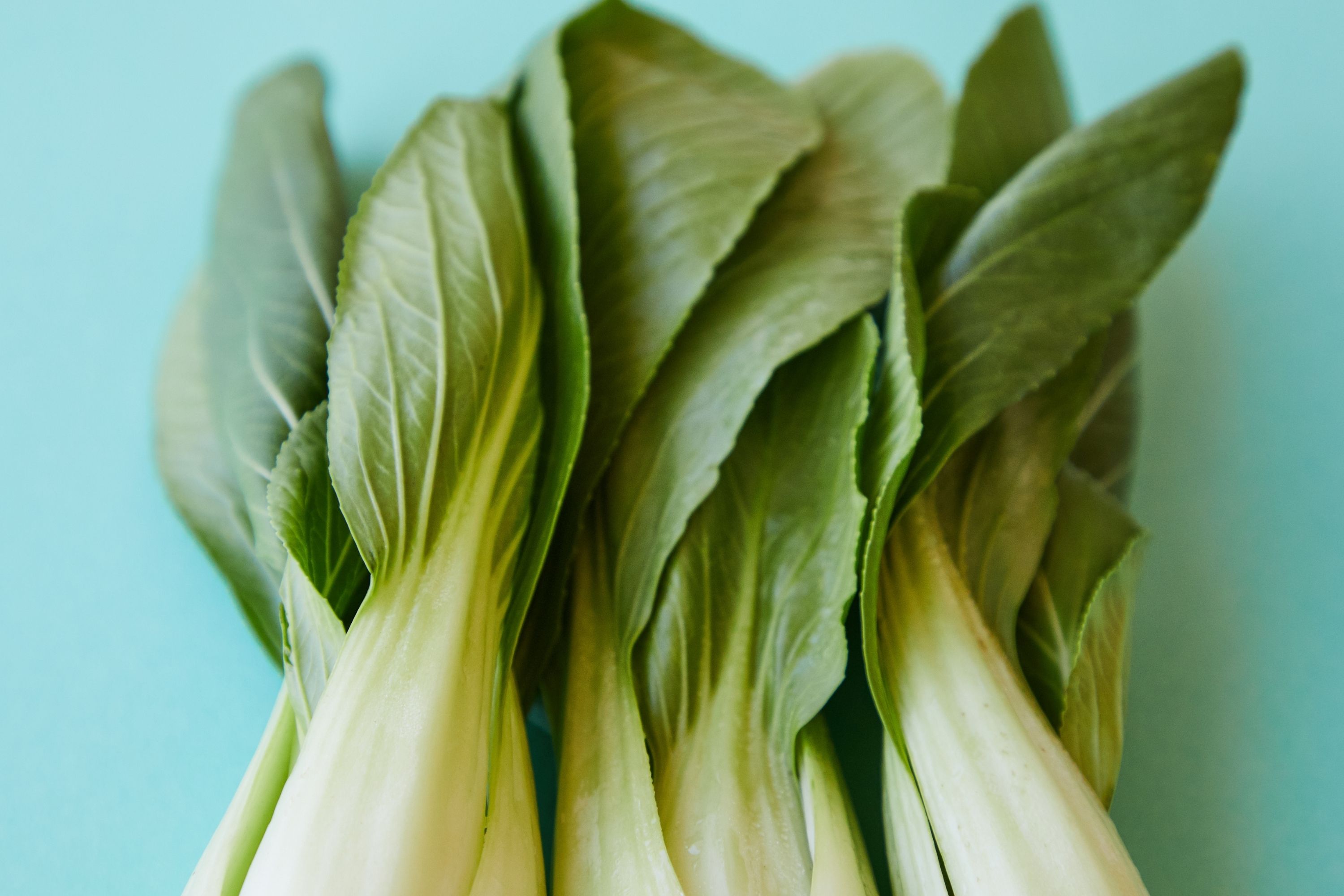 Do You Have To Blanch Bok Choy Before Freezing