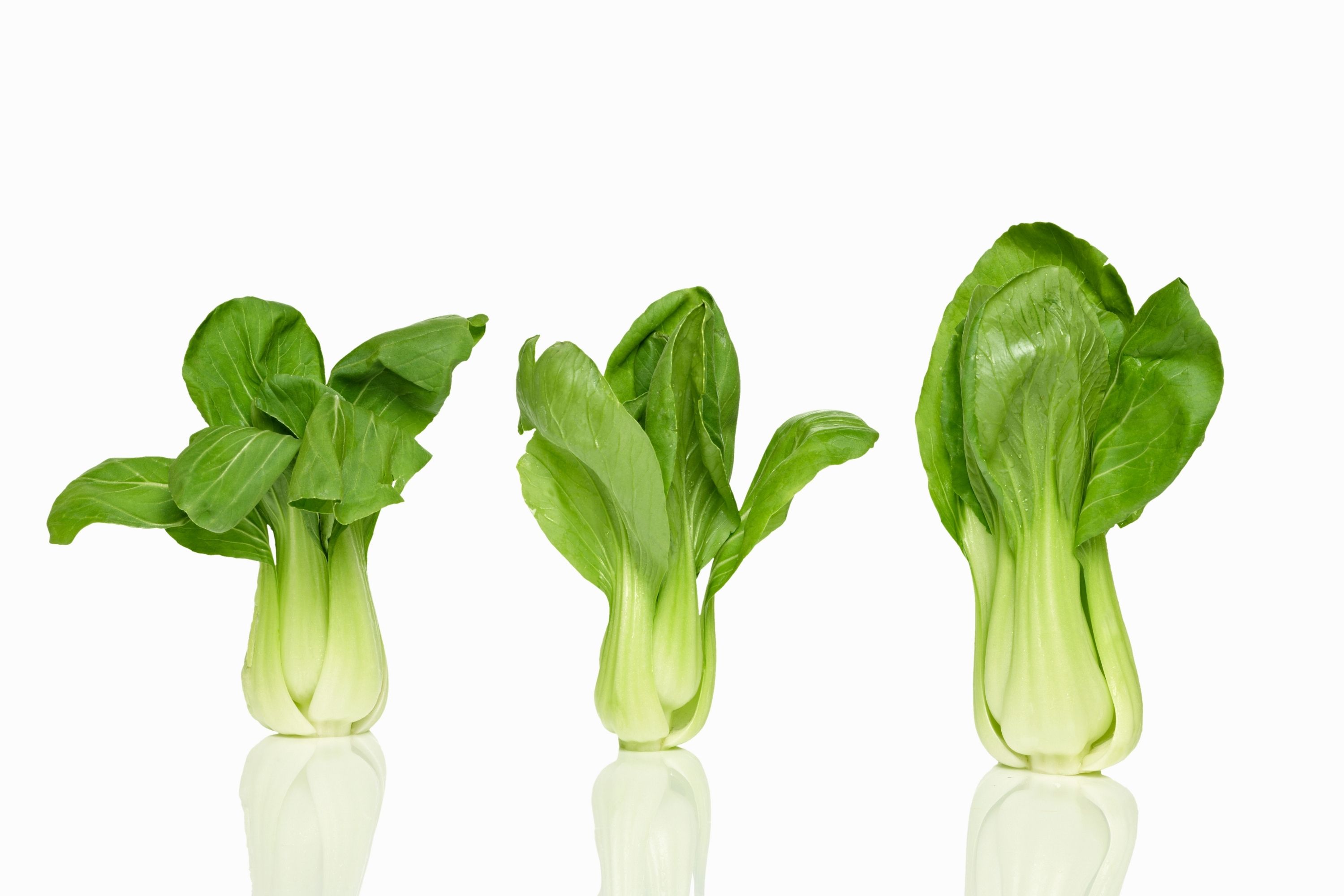 How Do You Store Bok Choy In The Freezer