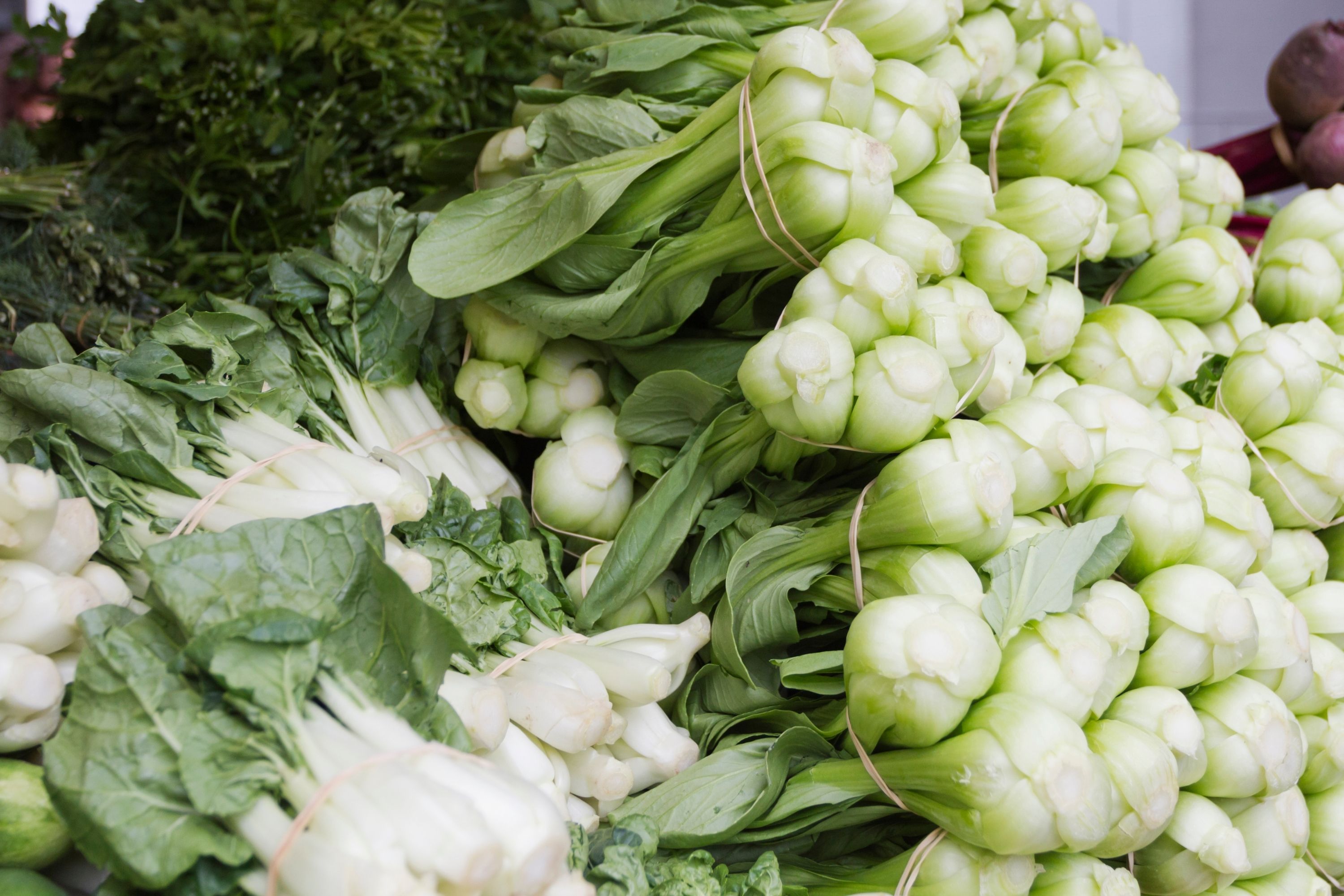 How to Freeze Bok Choy Step By Step