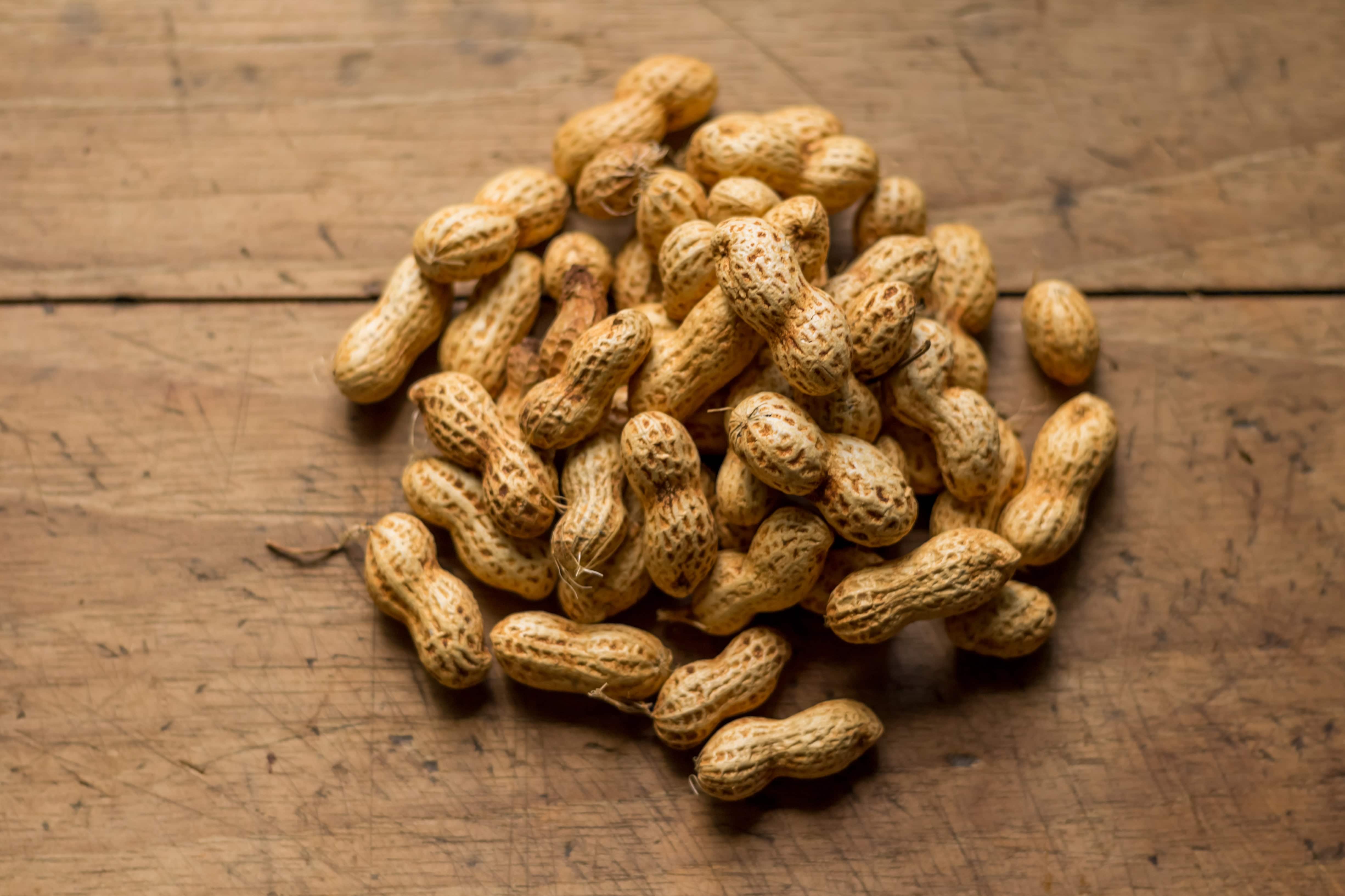 Can Peanuts Go Bad The Biggest Secrets Of The Peanuts can-peanuts-go-bad-the-biggest-secrets-of-the-peanuts
