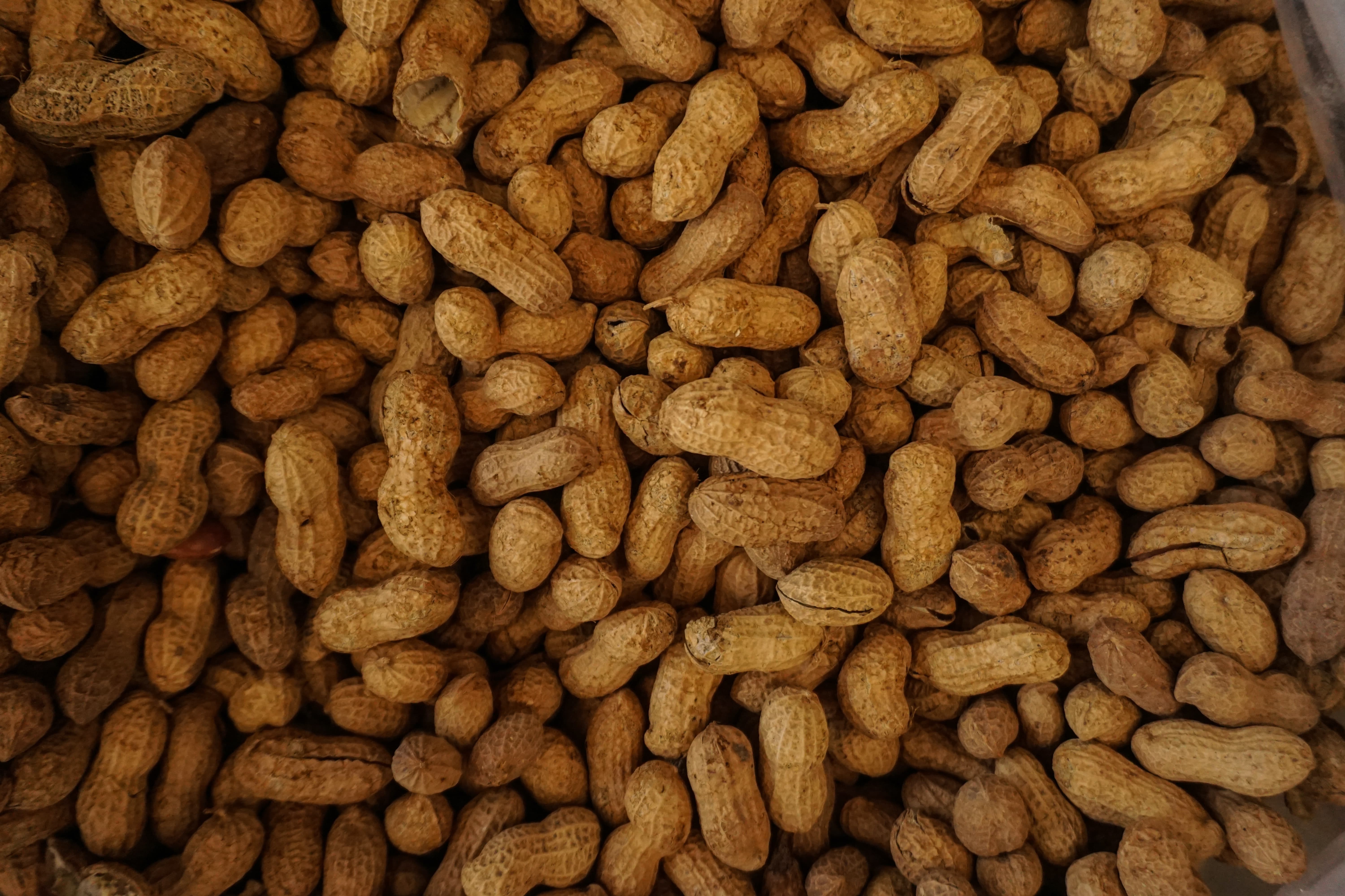 can-peanuts-go-bad-the-biggest-secrets-of-the-peanuts