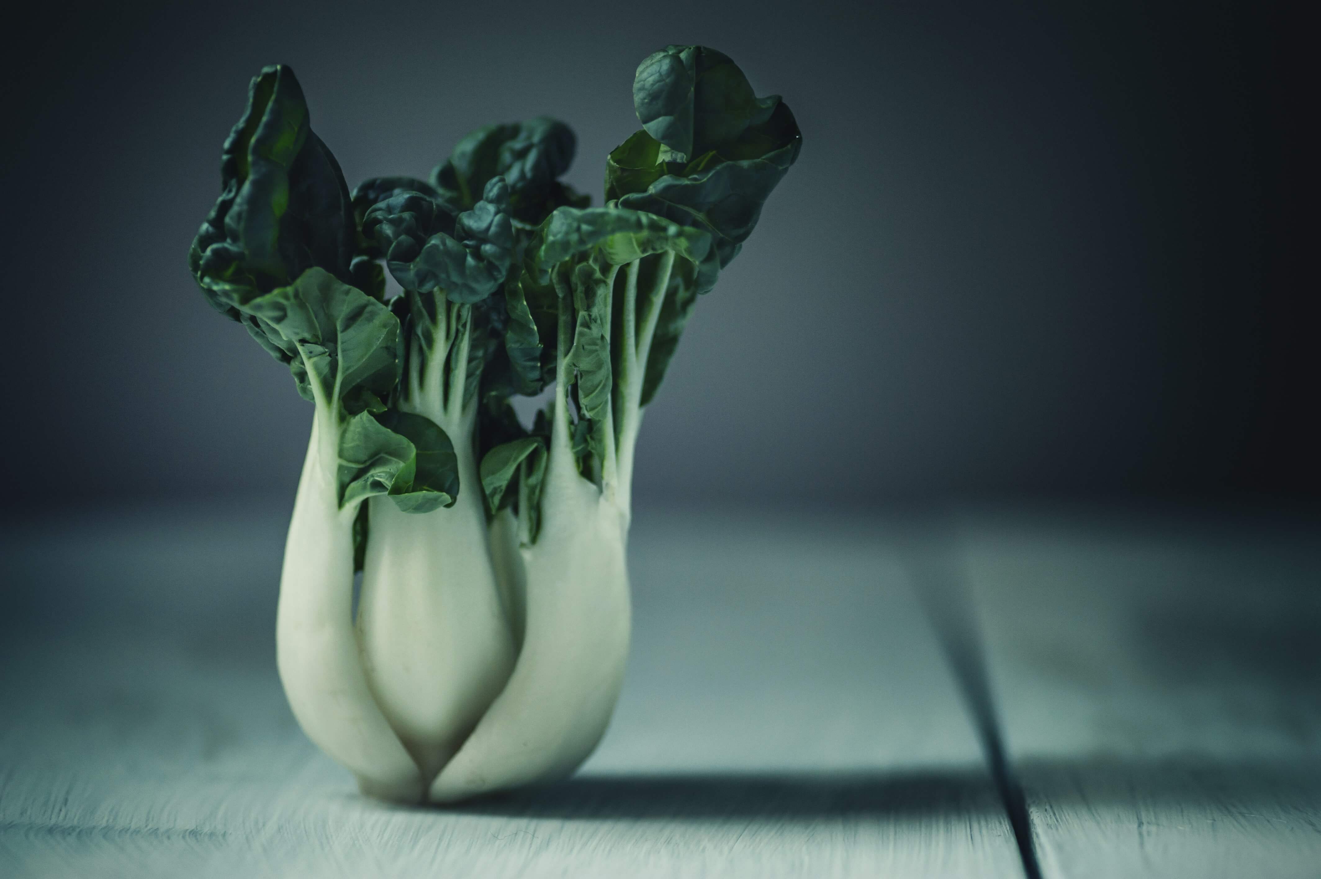 How to Keep Bok Choy Fresh