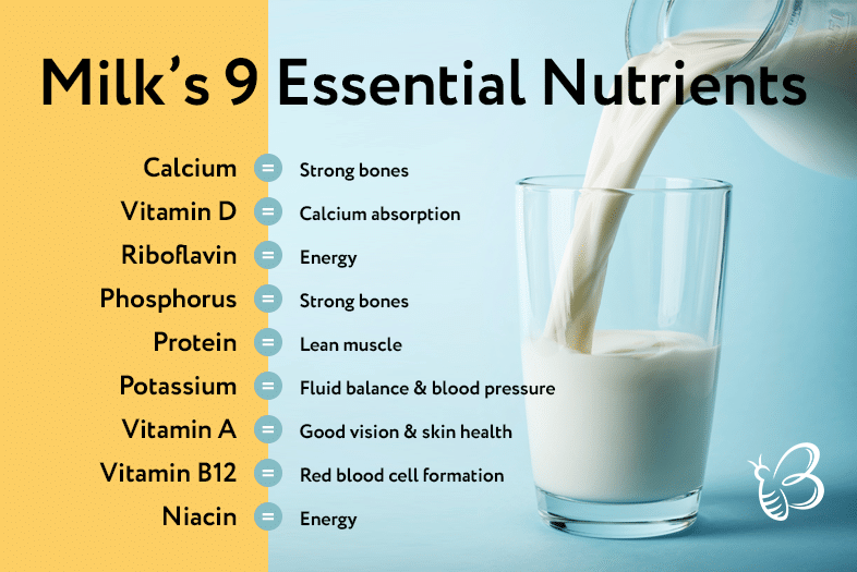 Can You Freeze Milk | The Ultimate Guideline