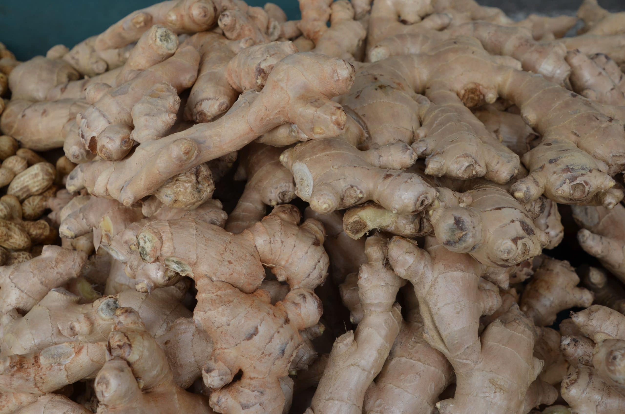 How to Store Ginger? Detailed And Easy Guide Beezzly