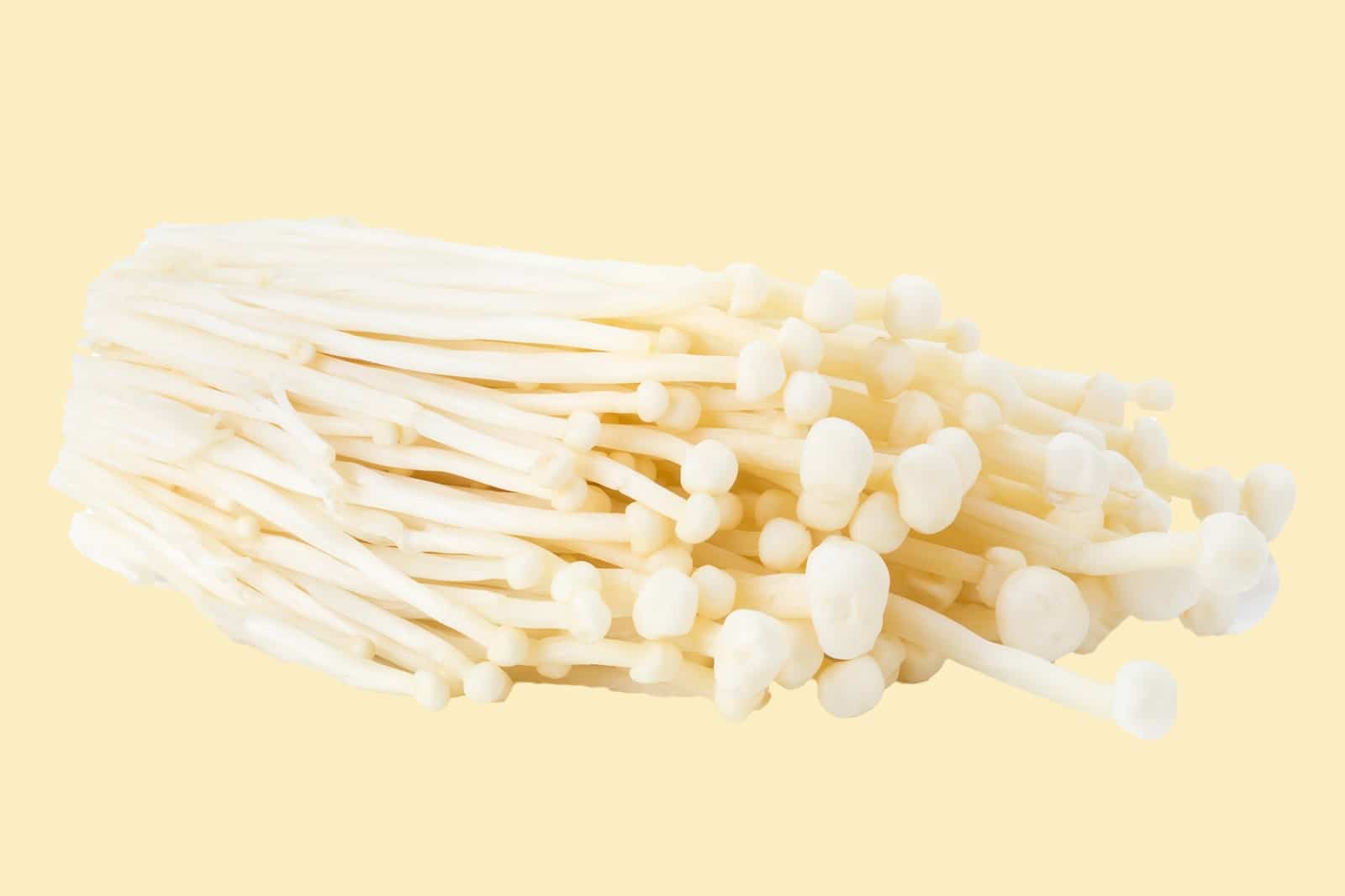 Enoki