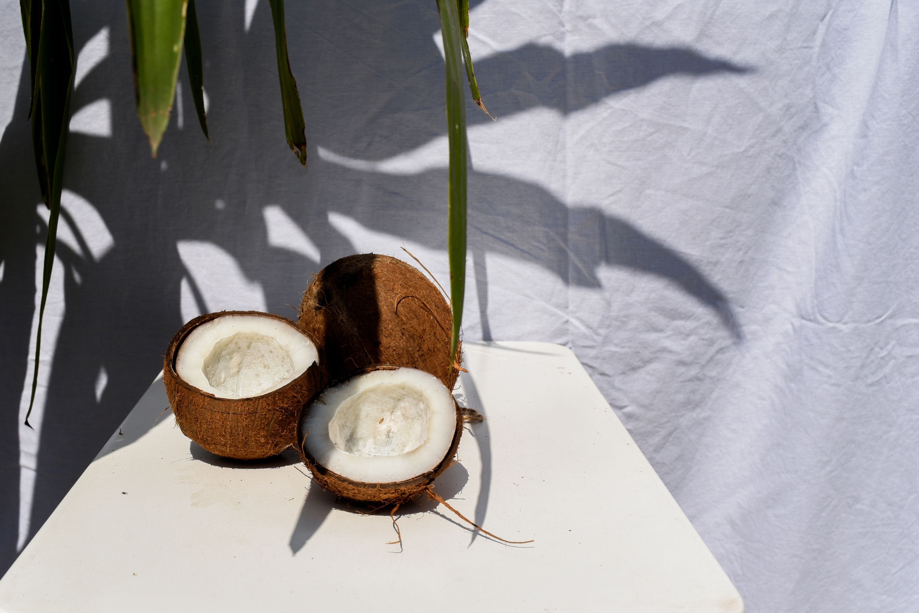 Benefits of Coconut