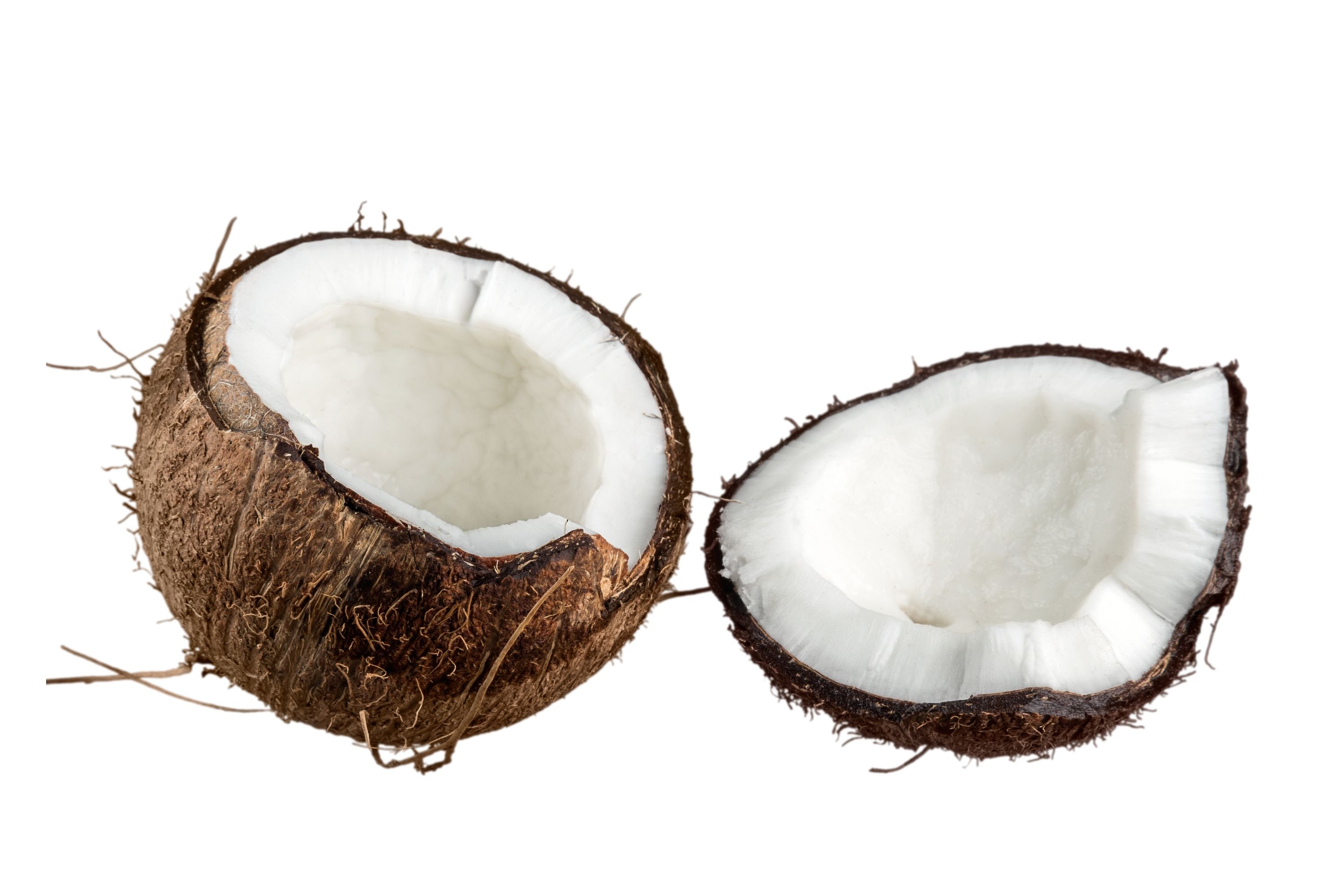 Coconut Classification. Is It a Fruit, a Nut, Or a Seed