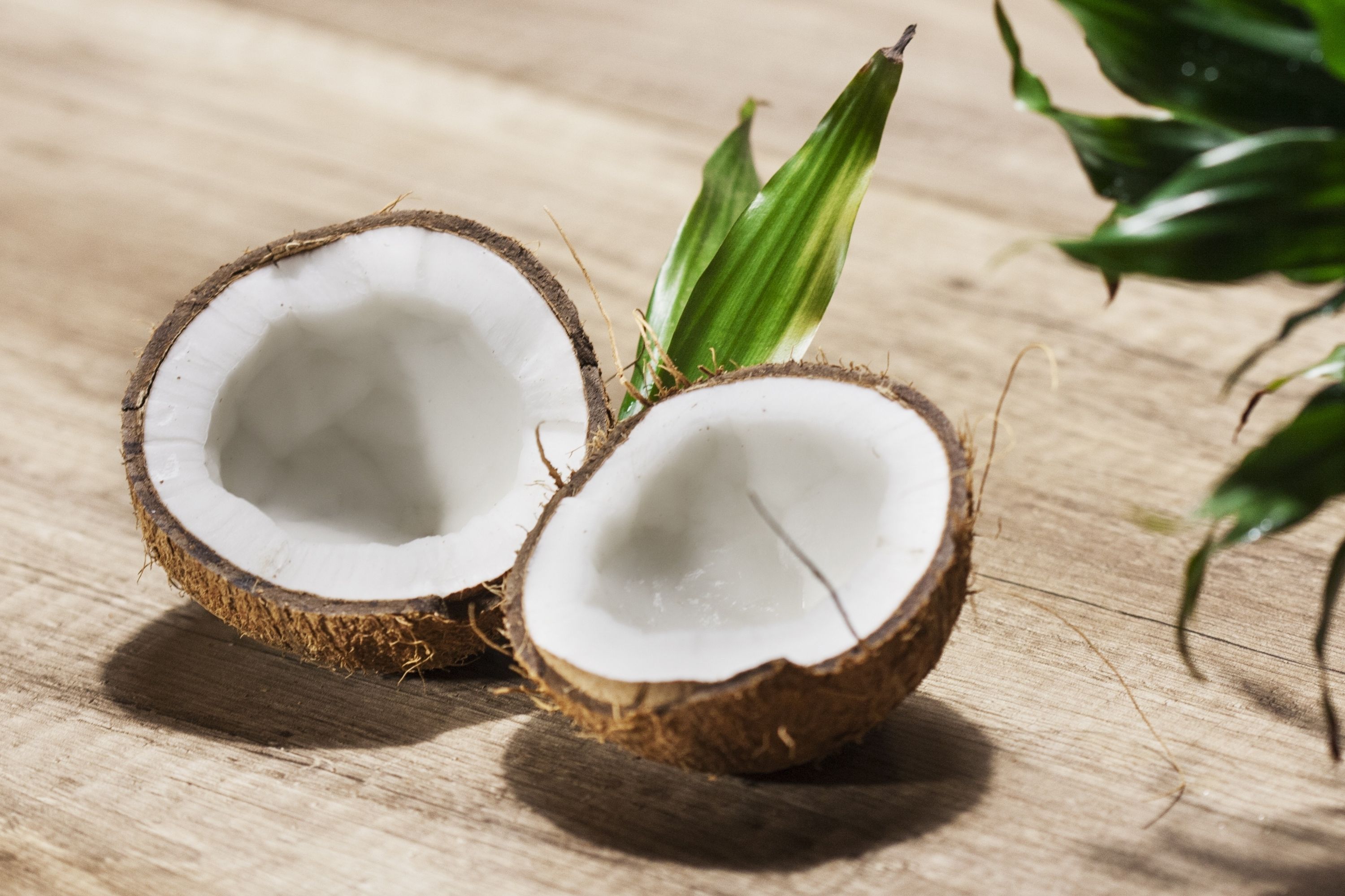 Interesting Coconut Facts