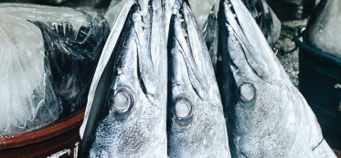 Rare seafood ultimate guide