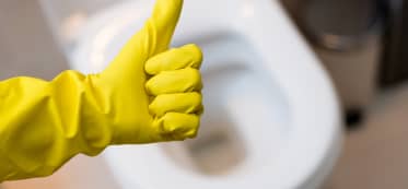 Wood vs Plastic Toilet Seat