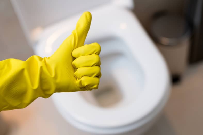 Wood vs Plastic Toilet Seat