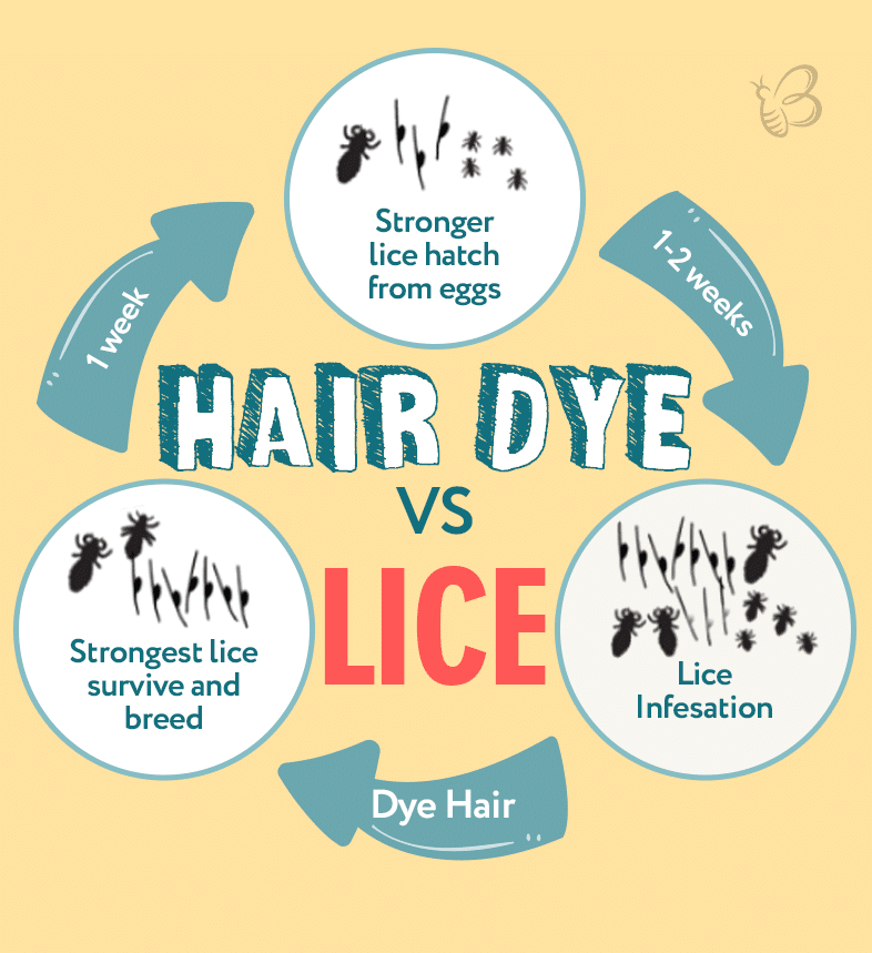 hair dye to remove lice