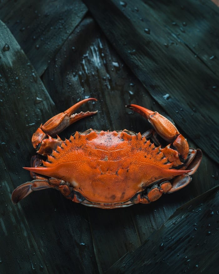 How Long Are Crab Cakes Good For