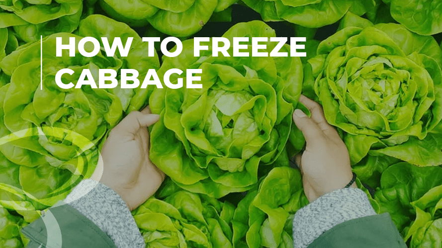 How to freeze cabbage