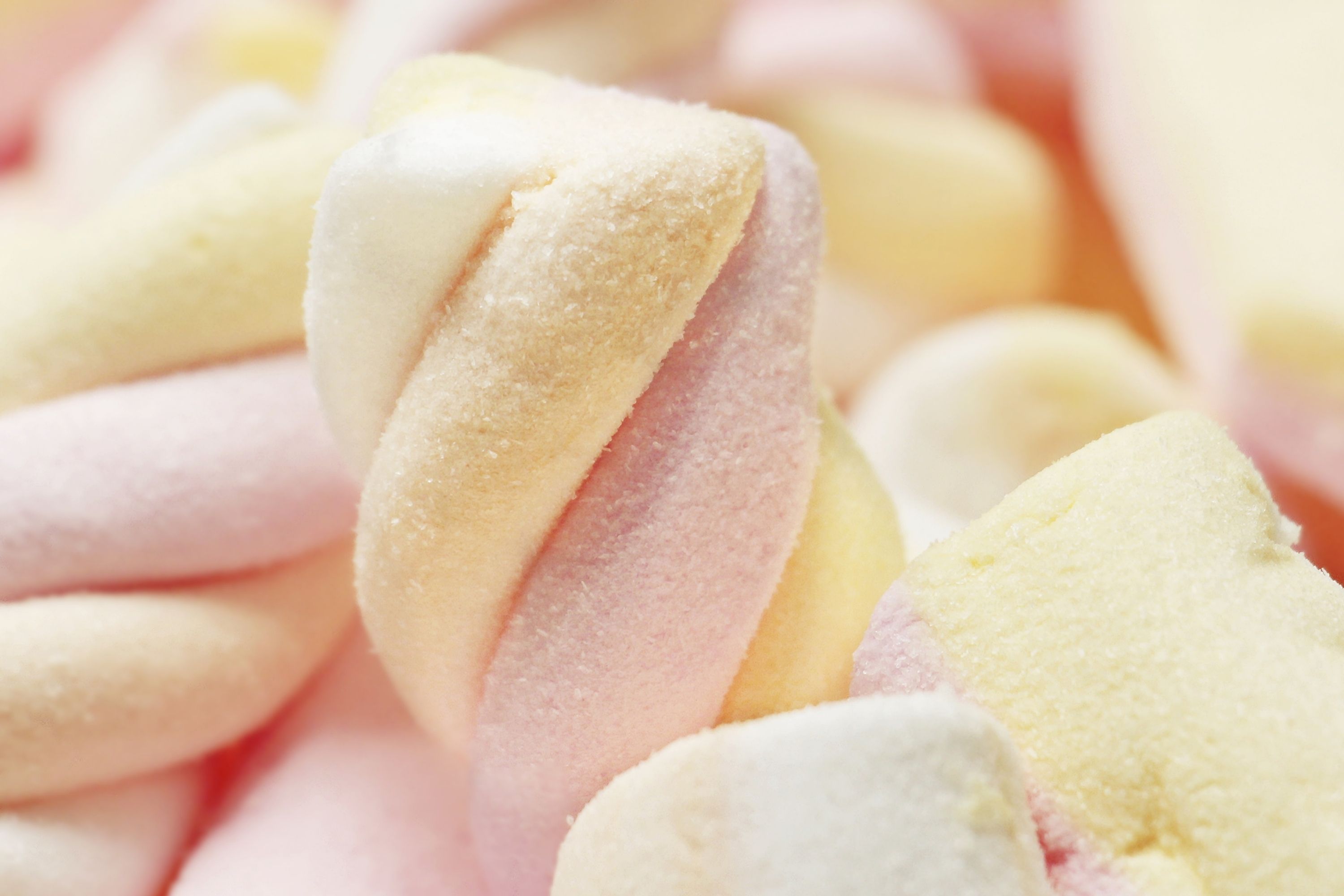 Ways Of Storing Marshmallows You Need to Know