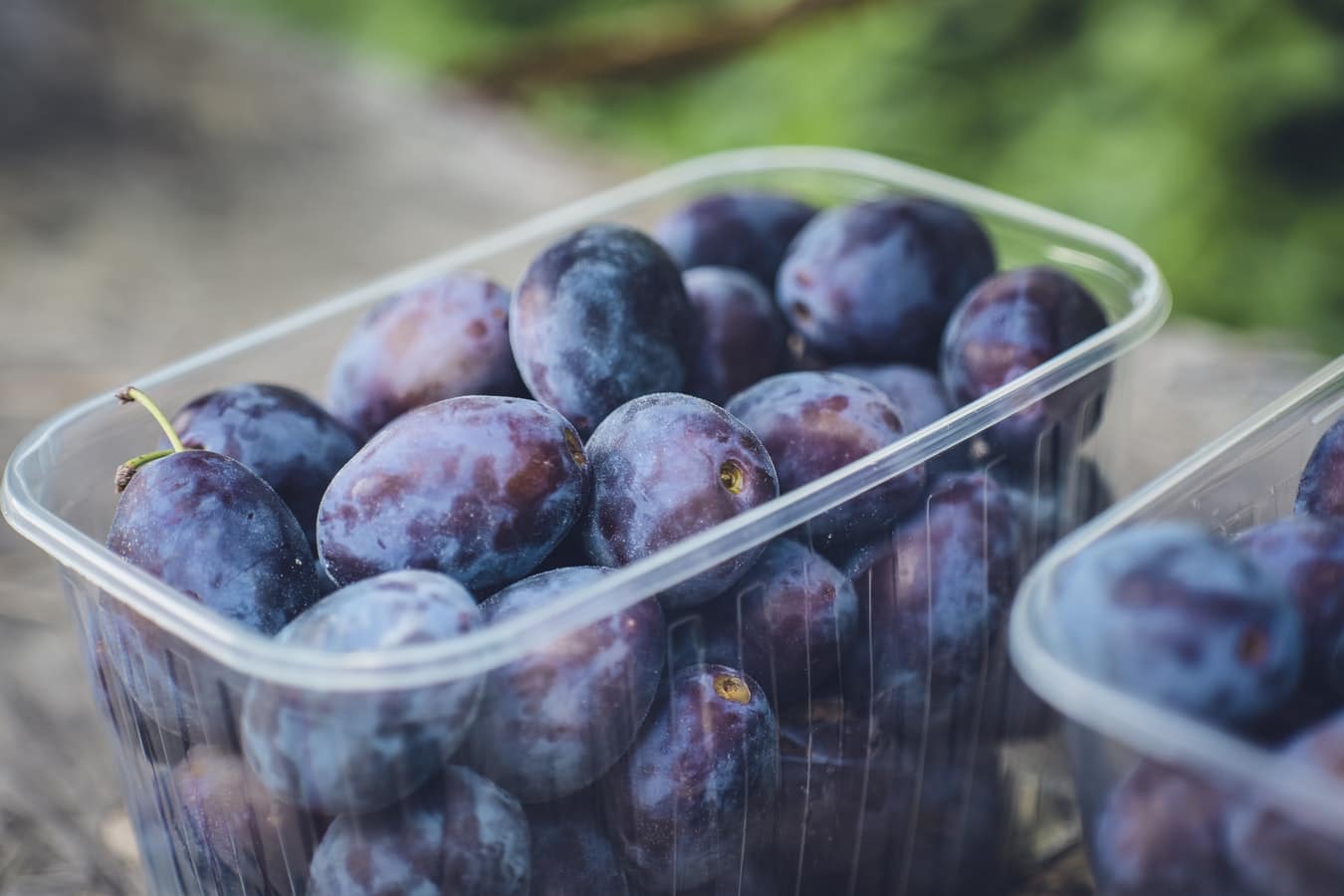 What’s the Difference Between Dates And Prunes? Quick Facts Beezzly