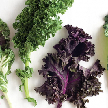 what does kale taste like