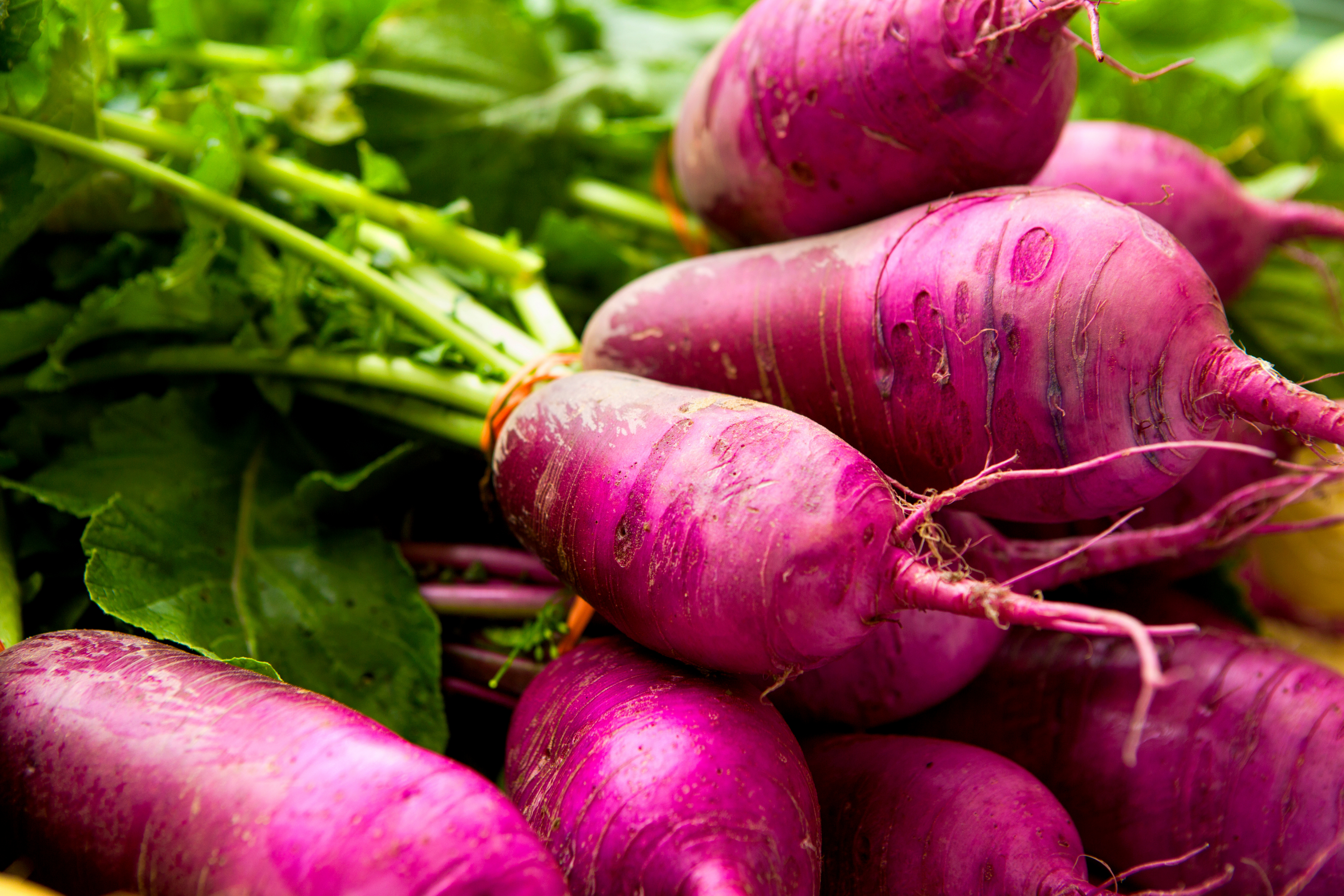 7 Creative Ways to Cook With Turnips