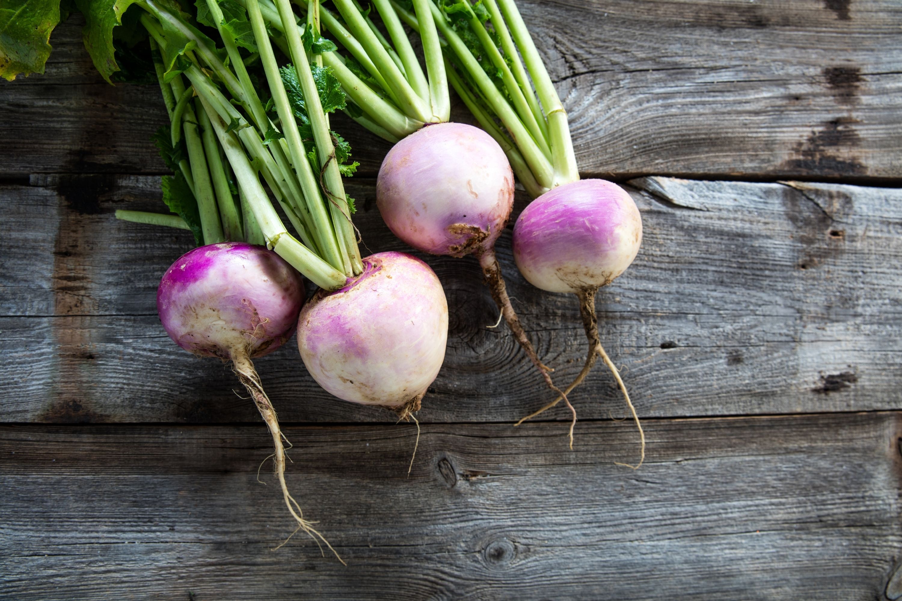 The Recommended Turnip Cooking Methods