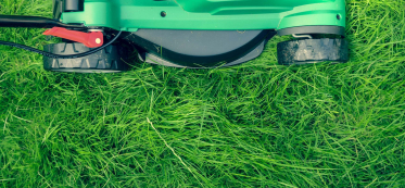 Everything you ever wanted to know about growing a perfect lawn in your garden