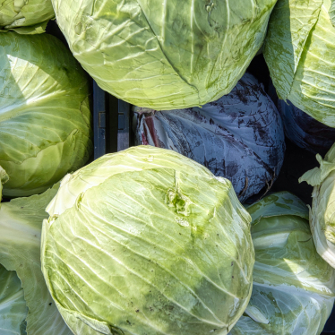 what to cook from cabbage
