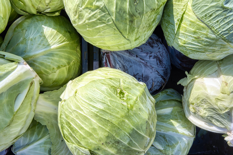 what to cook from cabbage
