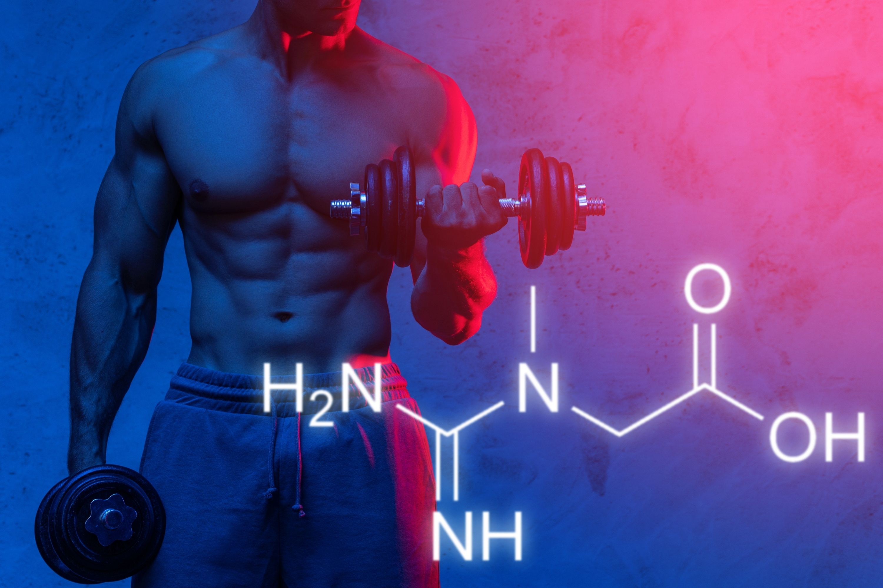 Creatine Aids In Producing More Muscle Cells