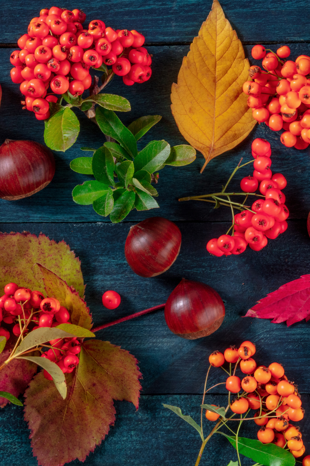 Autumn flatlays (2)