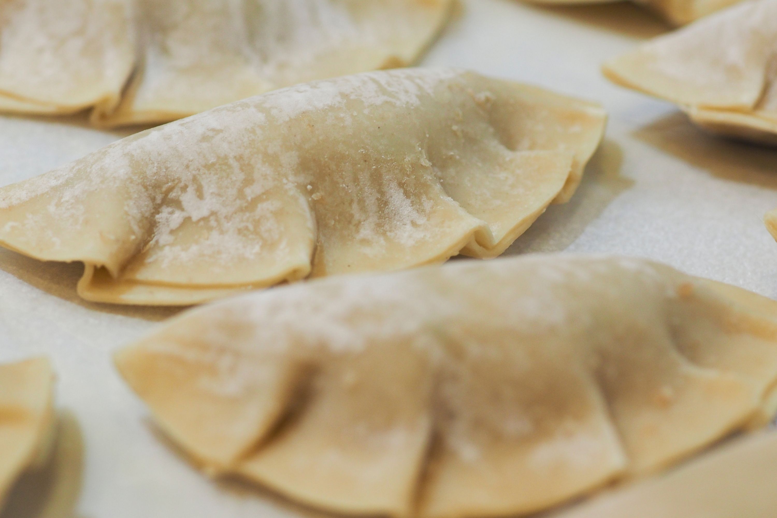 How to Cook Frozen Potstickers In The Oven time to bake