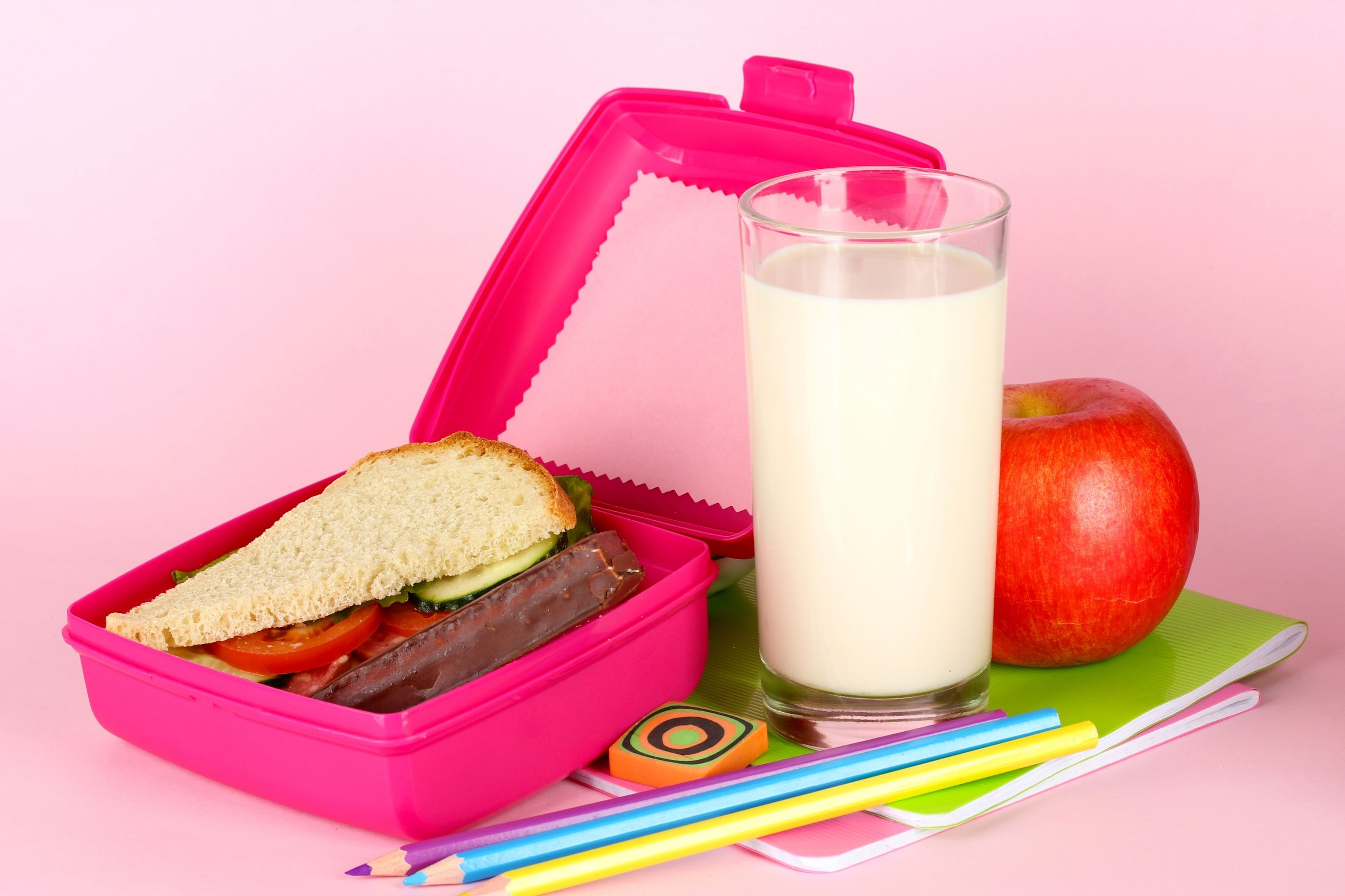 How to Pack Milk In Lunch Box 6 Ideas Beezzly