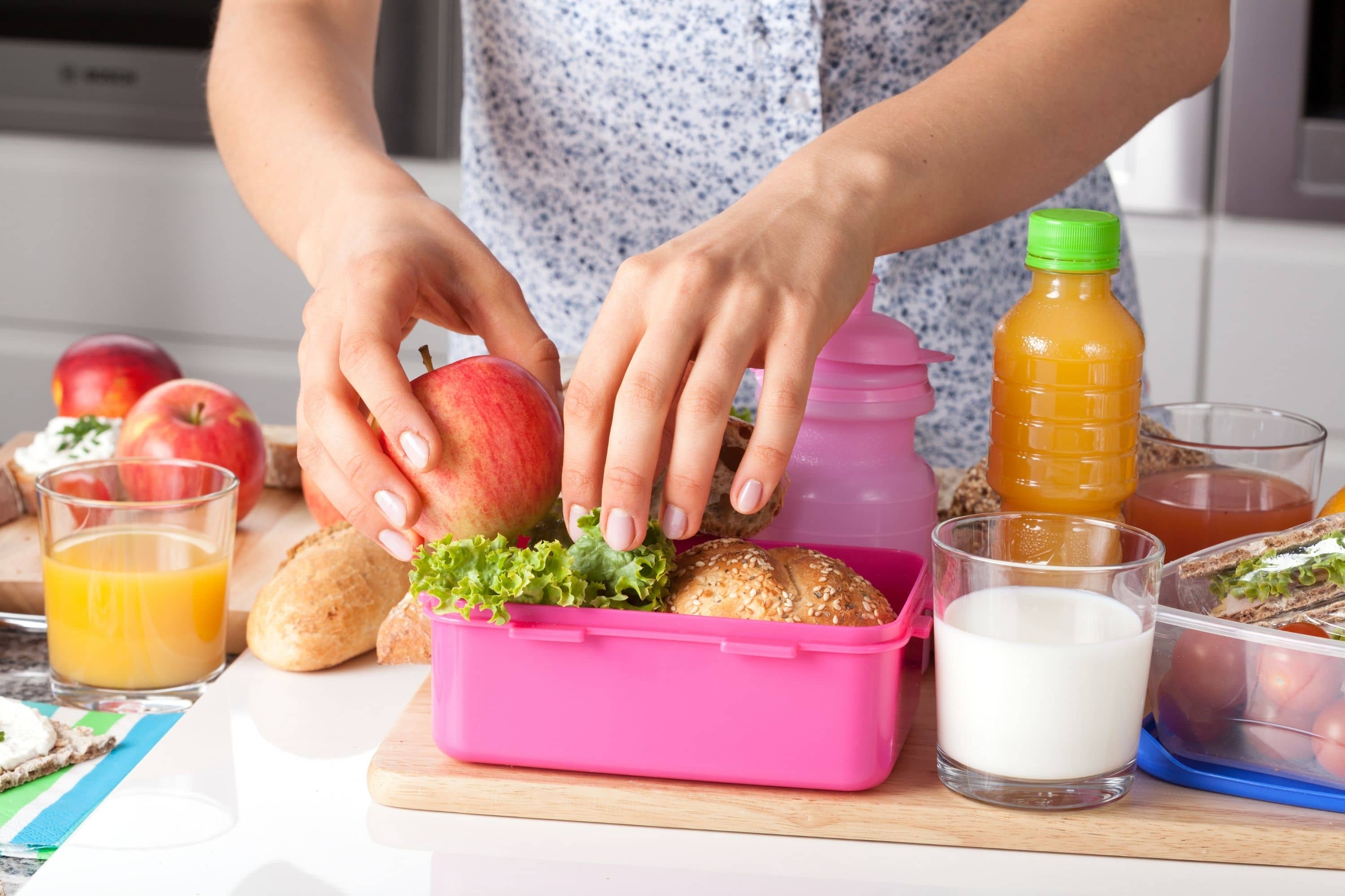 10 Ways How To Use Ice Pack In Lunch Box Beezzly