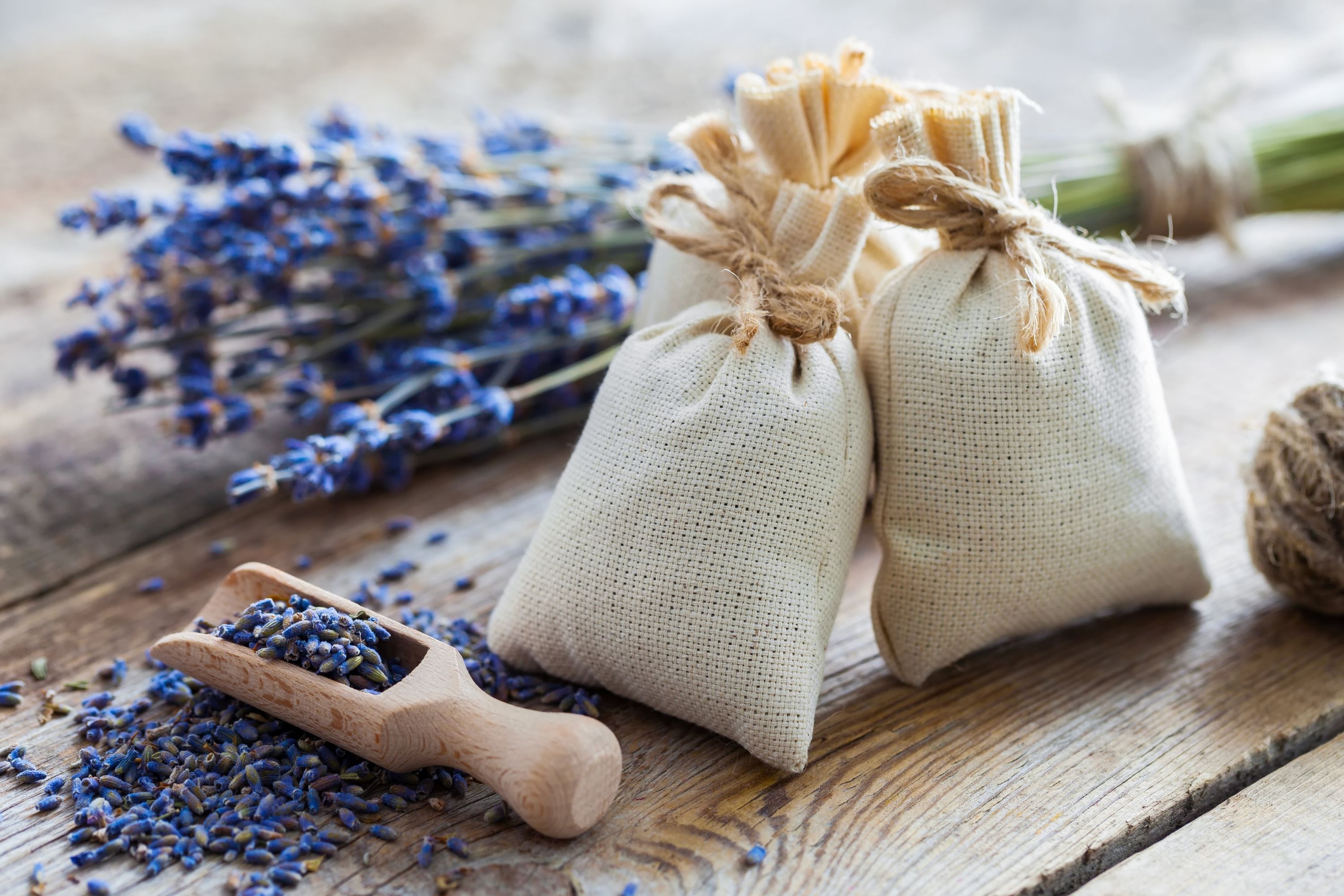 Lavender Pillows May Protect Your Brain