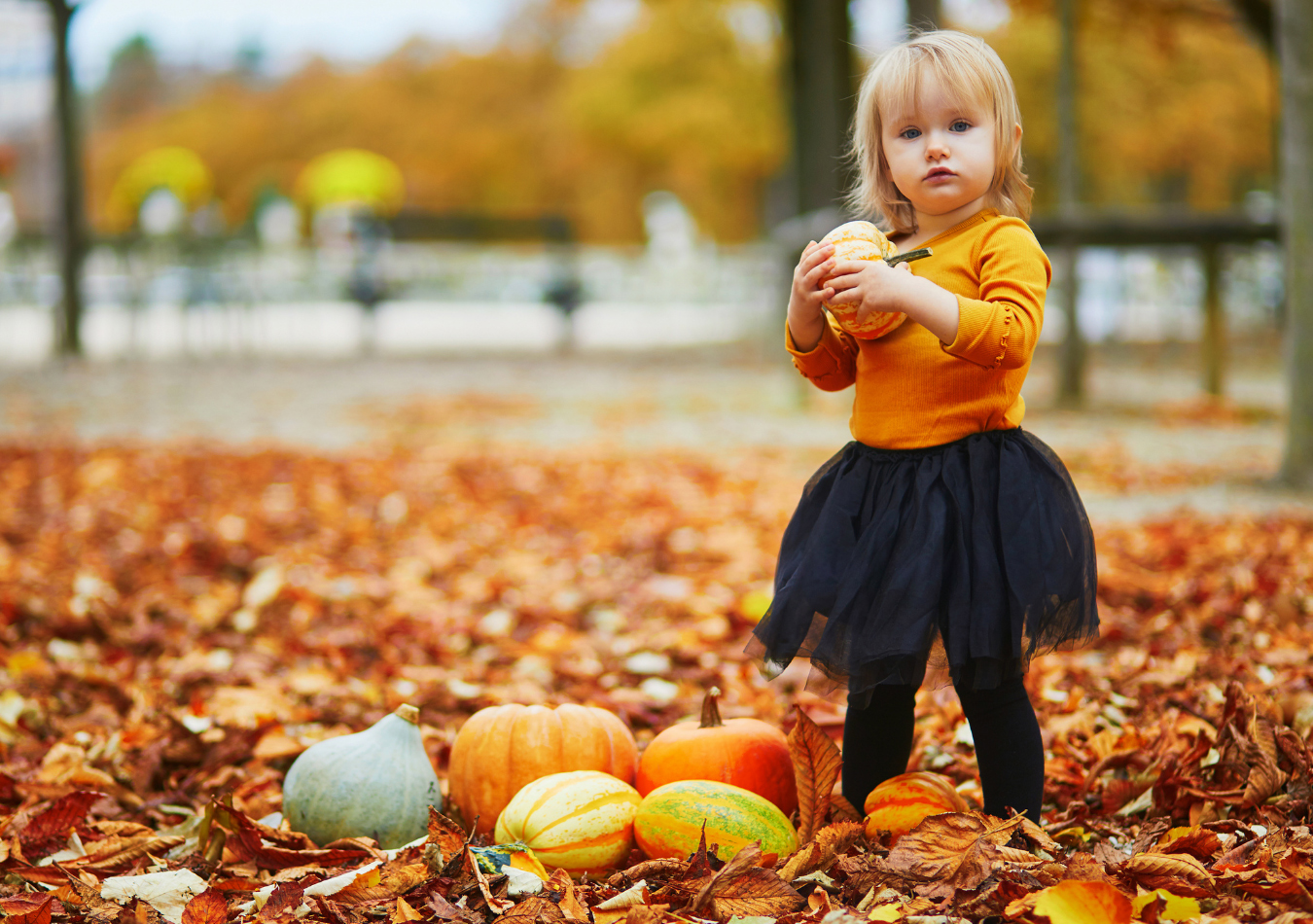 Pumpkins, more pumpkins!