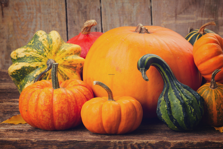 11+ Tips How to Tell If a Pumpkin Is Ripe? - Beezzly