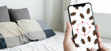 How Long Can Bed Bugs Live Without Food