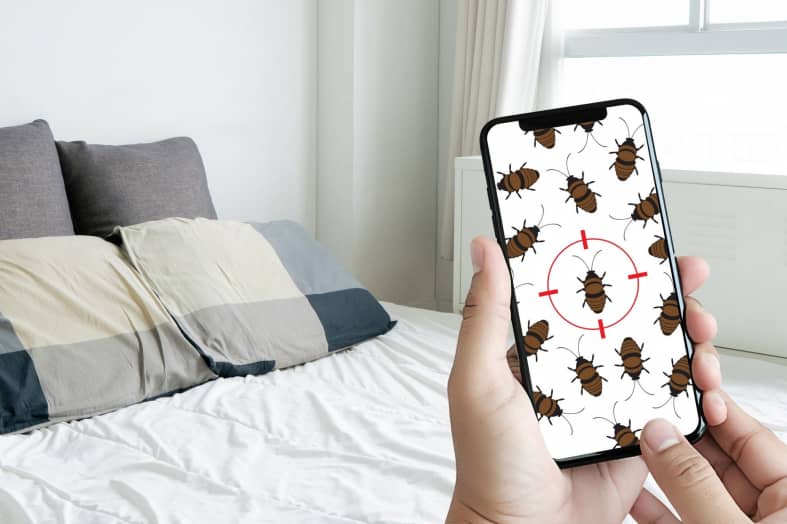 How Long Can Bed Bugs Live Without Food