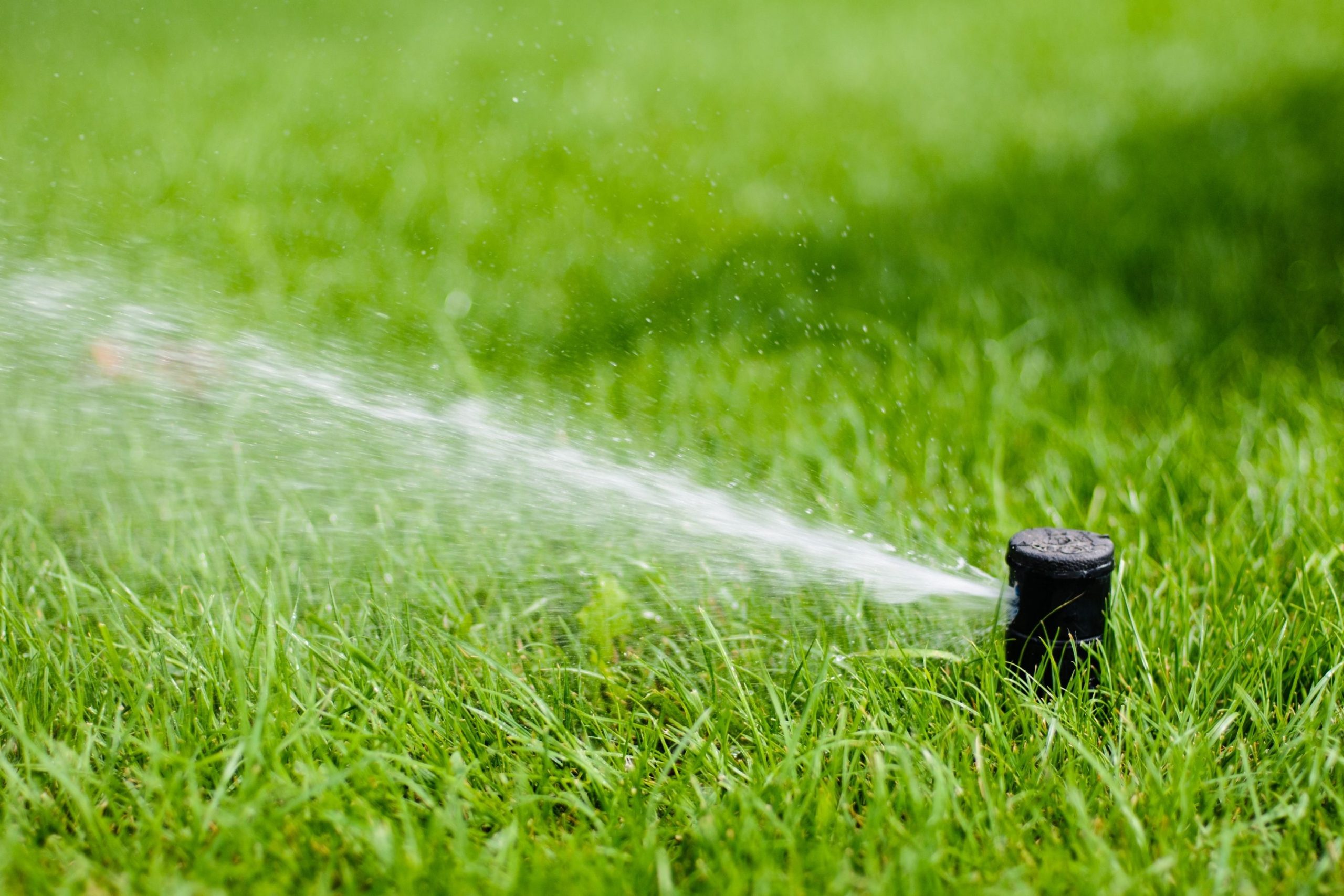 How to Turn Off Sprinkler System For Winter