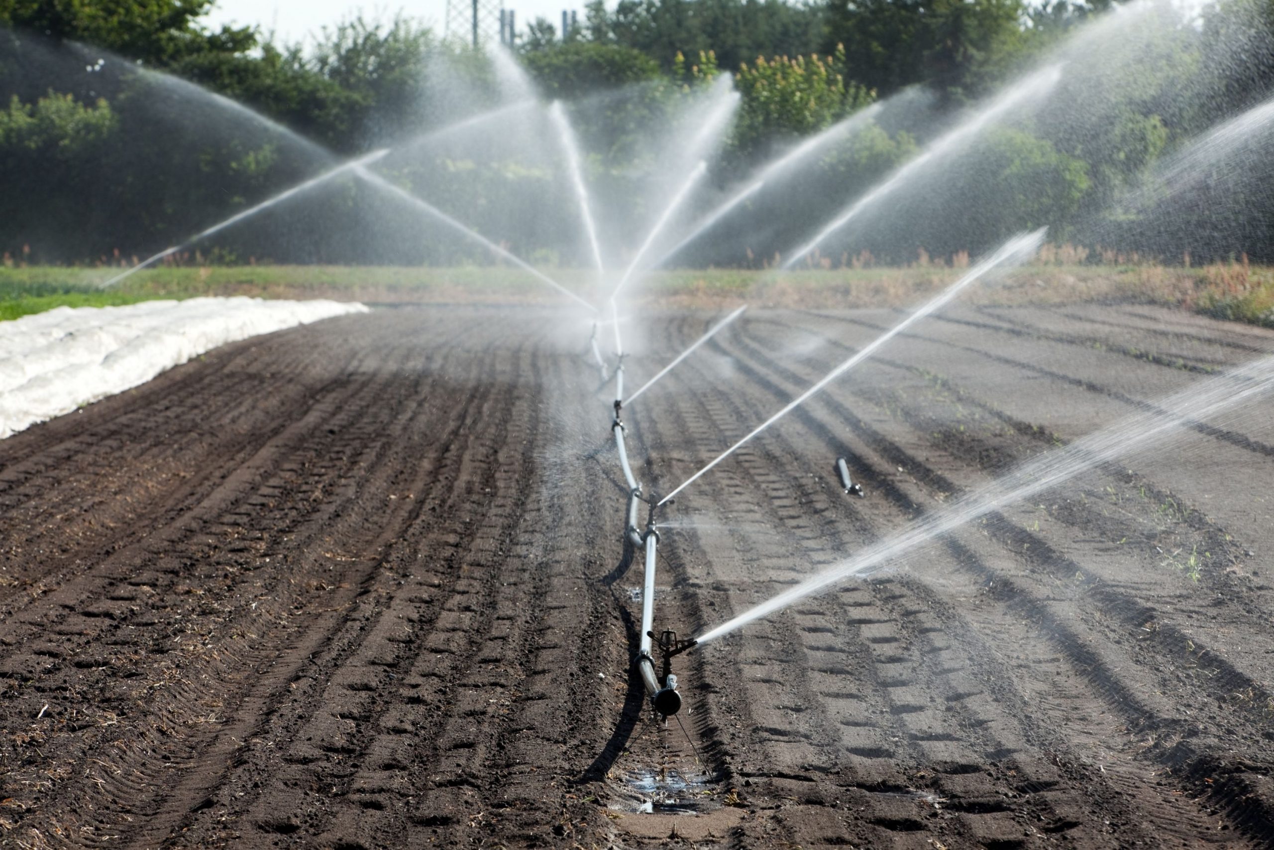 How to Turn Off Sprinkler System For Winter