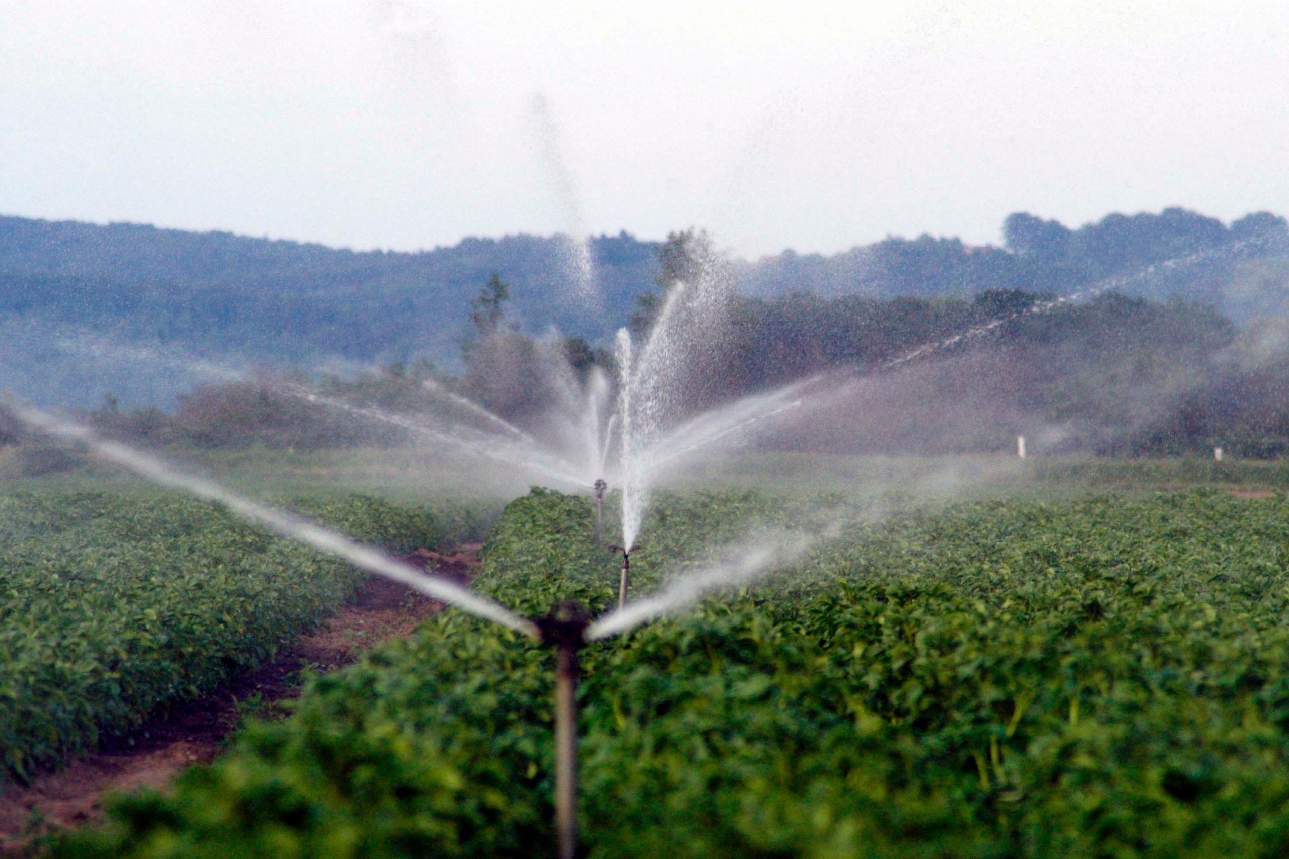 How to Turn Off Sprinkler System For Winter