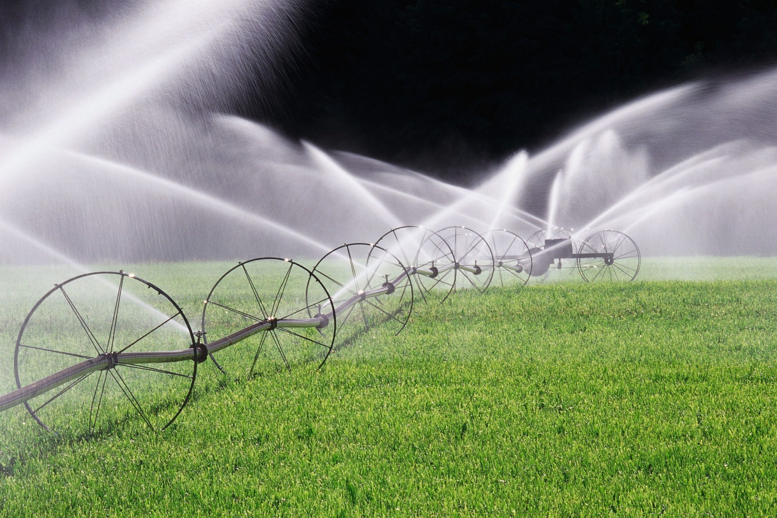 What to Do if You Experience Damage to Your Sprinklers