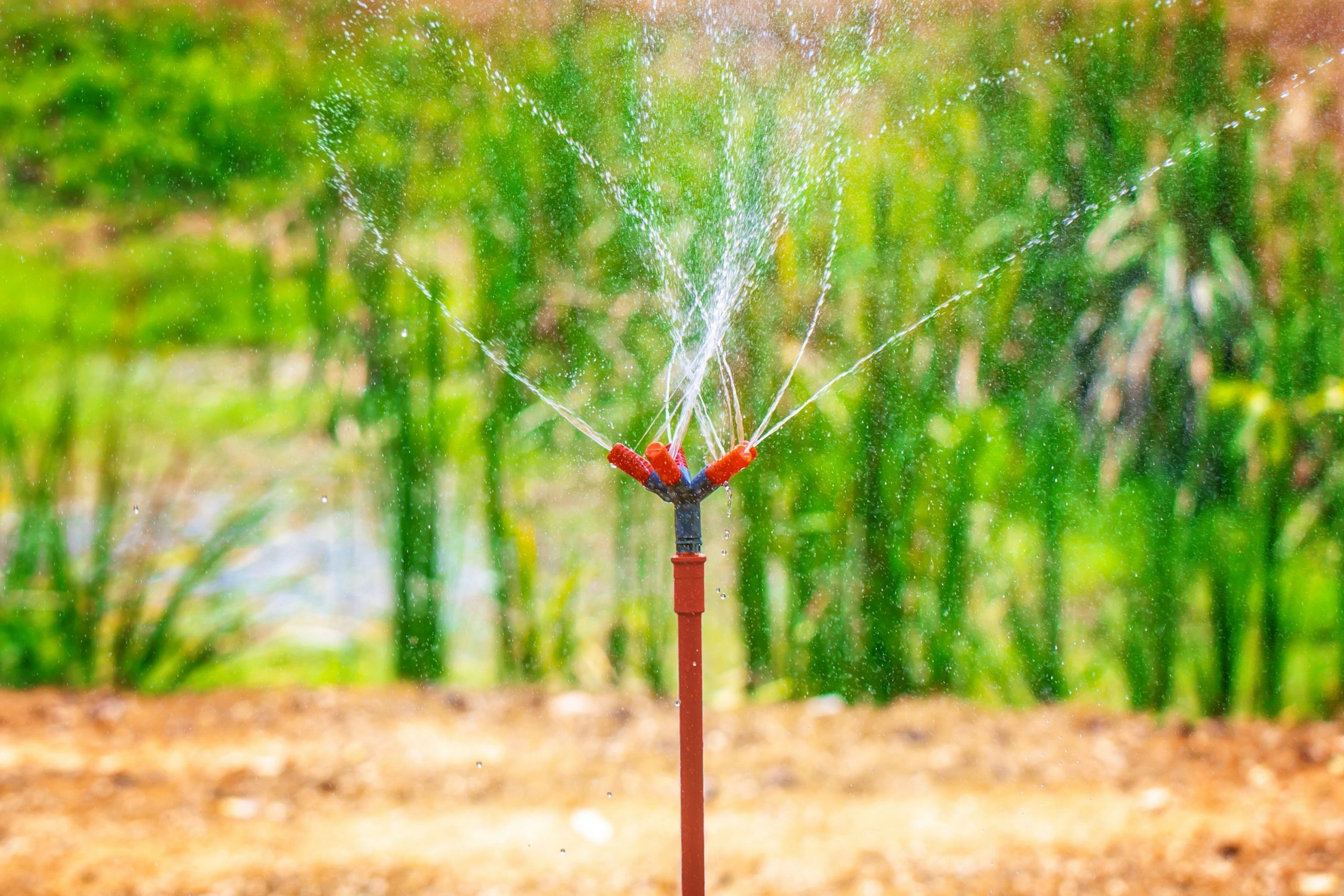 What to Do if You Experience Damage to Your Sprinklers