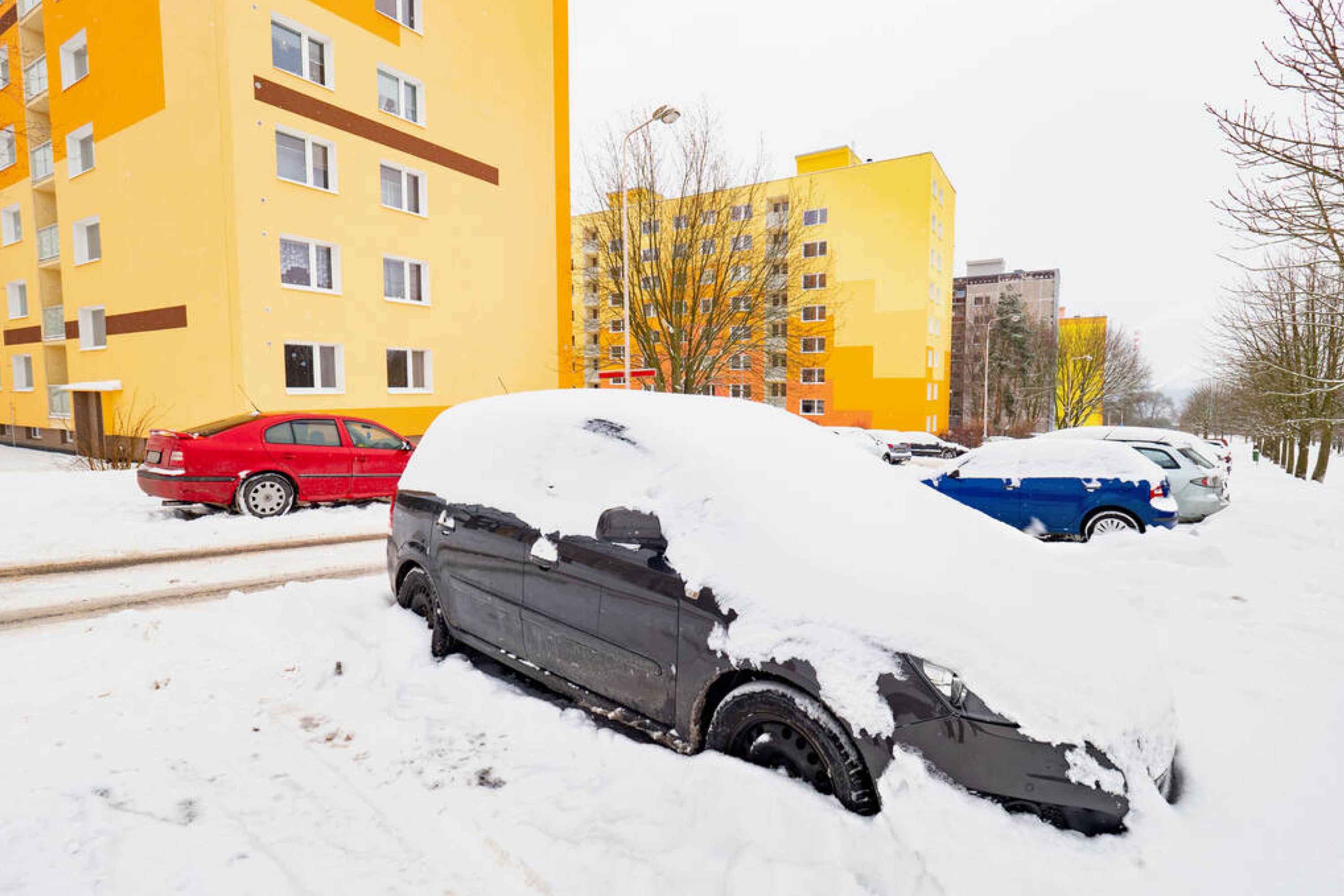 Cover and Canopy In Winter