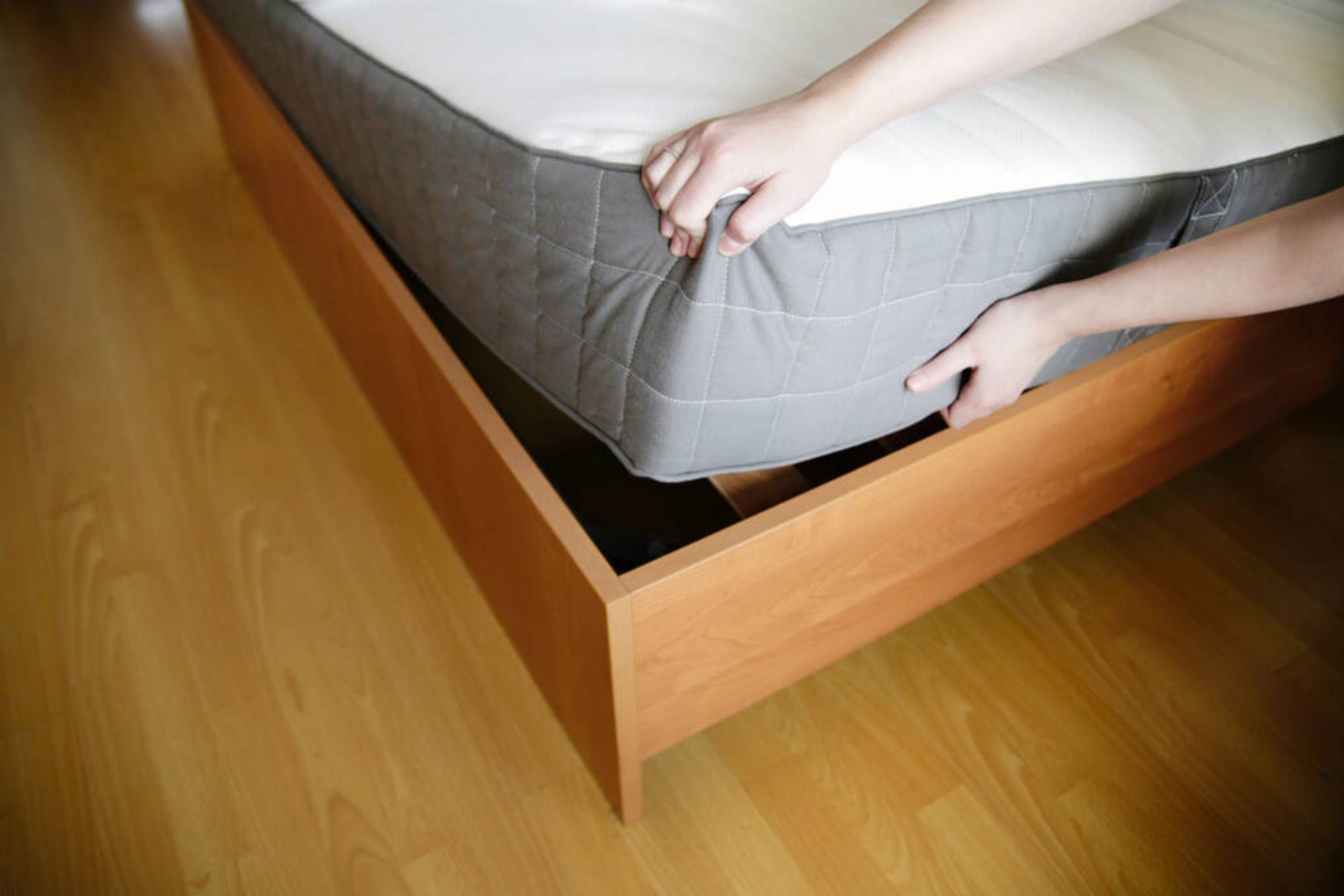 Early Signs of Bed Bugs On Mattress